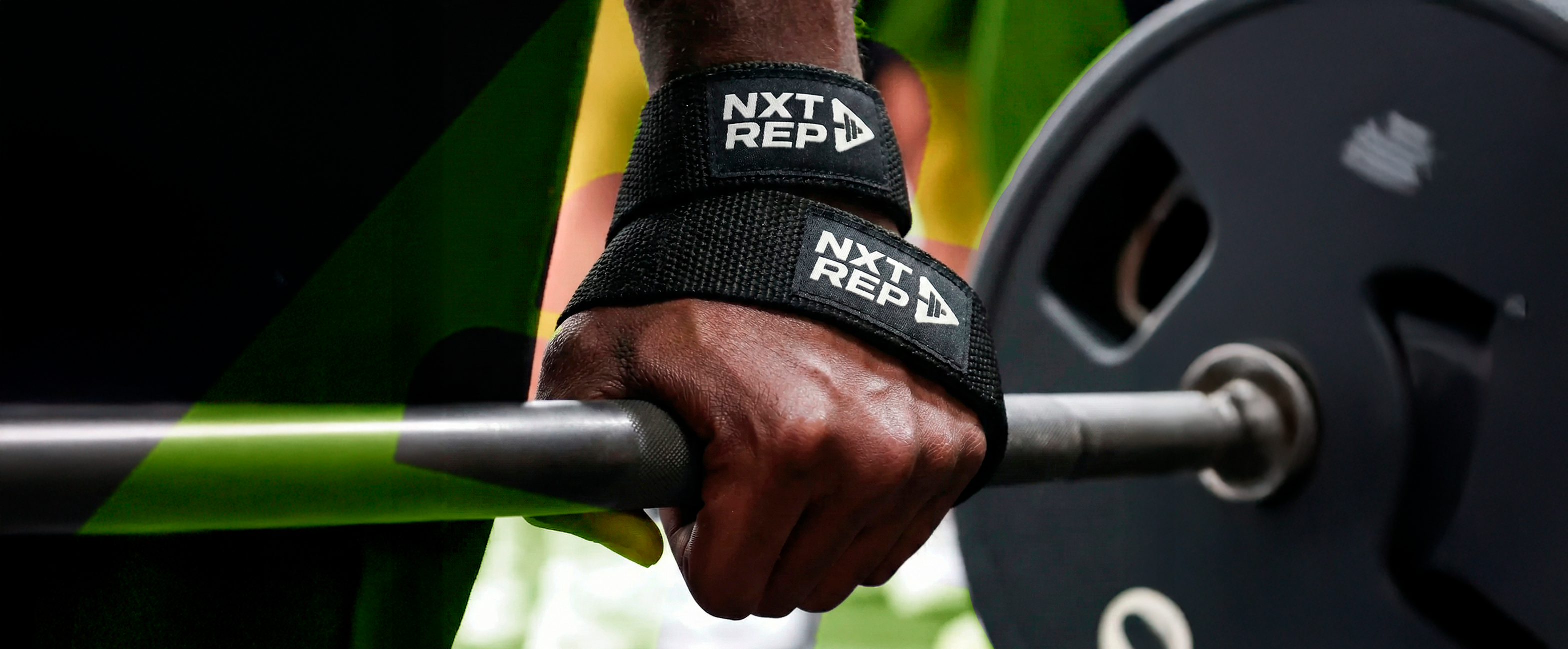 الصفحة الرئيسية